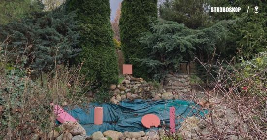 178639337_1395772100783639_3261232810568994214_n